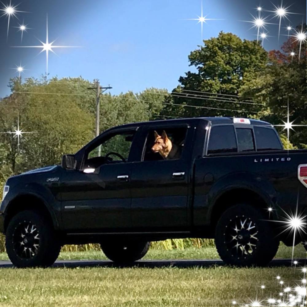 Meet your Posher, Theresa